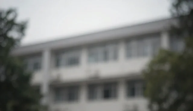 市场调研服务模式如何影响选型决策